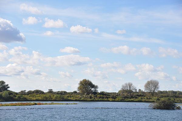 As verstrooien op het water